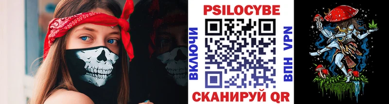 Псилоцибиновые грибы Psilocybe  кракен как войти  Тотьма  купить  сайты 